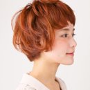 헤어보브