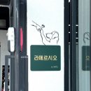 송정유치원 | 해운대 강아지호텔 찾다가 발견한 송정 애견유치원 라메르시오 데이케어 솔직 후기