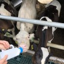 상현목장 이미지