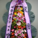 새롬유통 이미지