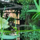 소박한 뜰 이미지