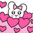 위코스테이 이미지