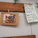 캣카페 집사의하루 분당점 이미지