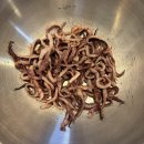 구룡포 선우푸드 네이버블로그