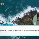 유림-1043 이미지