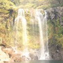 천제연폭포 이미지