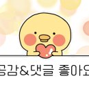 선산대로-81 이미지