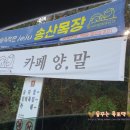 자이언트목장 | 광주양떼목장 송산목장 아이들과 가볼만한곳