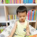 꼭꼭 숨어라 동물들아 이미지