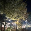 대구 팔공산 능이백숙 오리양념불고기 황토시골집 맛집 후기/ 방갈로 가족 모임 장소 추천