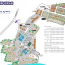 바다의별 이미지