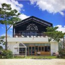 우리밀 만두찐빵 이미지