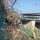 구구랜드 실키팜 이미지