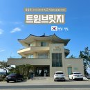 트윈브릿지 | 진도대교 뷰 카페, 트윈브릿지 : 해남 오션뷰 카페 다녀온 후기