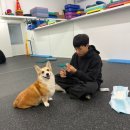 아이캔유치원 | 경산 독 피트니스 아이캔독