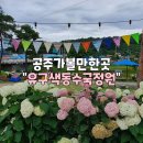 유구농업협동조합하나로마트 이미지