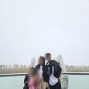 동화프라자 | 다낭 여행 1일차: 안개 속의 동화 나라, 바나힐 정복기!