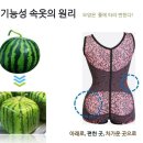제니패션기능성보정속옷 이미지