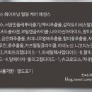 리본스화장품 이미지