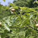 고령농장 이미지