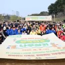 두번째나무