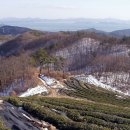 봉화천 | 보성 봉화산~활성산