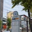 성지내과의원 이미지