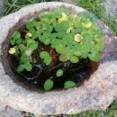 시창작교실 이미지