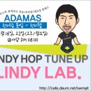 Swing Lab Daum카페