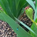 참사랑안마원 이미지