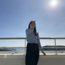 동읍478 | 🐟 창원/ 진해 여행 뚜벅이 여행코스 (1박 2일)