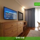 일레인호텔 | 일레인 호텔 둘러보기 | 제주 여행
