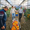 큰집농장 | 제주 가족여행 코스 3박4일 8명 대가족 준비물과 숙소 1일차 후기