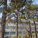 경기물류고등학교 이미지