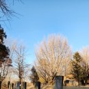 사옹원 분원리 석비군 이미지