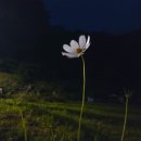 곰배령 팜스테이 이미지