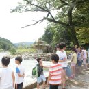 백전면사무소