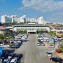 태안군, ‘2024 설날장사 씨름대회’ 오는 7일 개막!(서산태안TV) 이미지