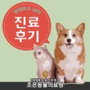 늘조은동물병원 이미지