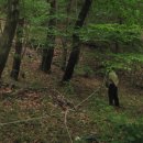 공개농장 이미지