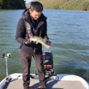 안동호민박 이미지