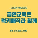 강동초등학교 | 아이들이 직접 외친 ‘노담!’ – 팔룡초 금연골든벨 생생 후기