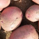 산우물농장 이미지