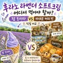 샐비아플라워 | 후라노 라벤더 소프트크림 어디서 먹어야 할까 – 팜 토미타 vs 카네코 커피 빈 직접 비교