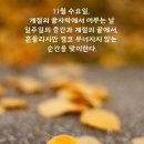 사소한취향