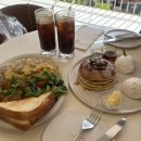 (주)탑미트 - 시흥시 | 성수 핫플 맛집 메이플탑 미국식 팬케이크 오믈렛 분좋 브런치 카페