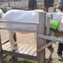 수양목장 이미지