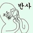 민트글라스