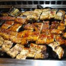 칭구장어 이미지