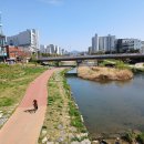 계백로(유등교-서대전네거리) 이미지